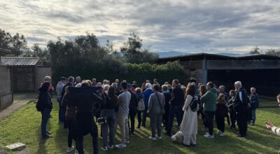 Turismo in crescita con le Cantine di San Martino. Grande apprezzamento per le proposte turistiche promosse dal Comune